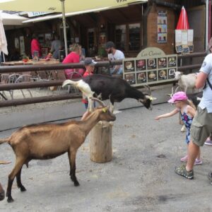 Lac Vert et lac de Chesery