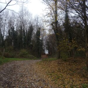 SILLINGY 3 Décembre 2024