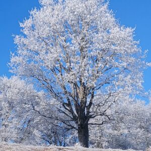 Chalet Pernet – lundi 5 janvier 2026