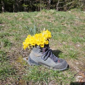 Plateau du Retord – vendredi 17 avril 2026