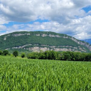 la Balme de Sillingy 12 mai