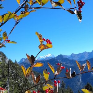 Col de Spée – lundi 12 octobre 2026